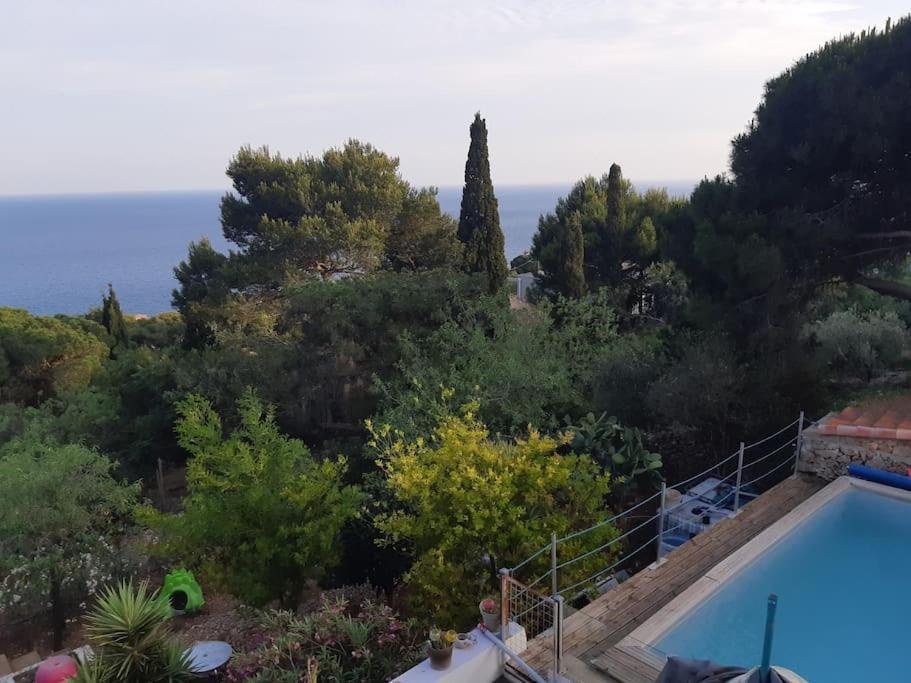 Haut De Villa Au Mont St Clair Vue Exceptionnelle Mer Et Foret Terrasses, Piscine, Petanque, Solarium Prives Sète Exterior foto